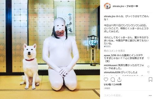 お父さん犬 白戸家 くっきー 野性爆弾 コラボ