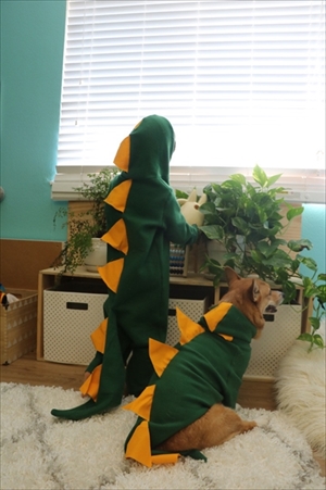 コギとボクのLA Life