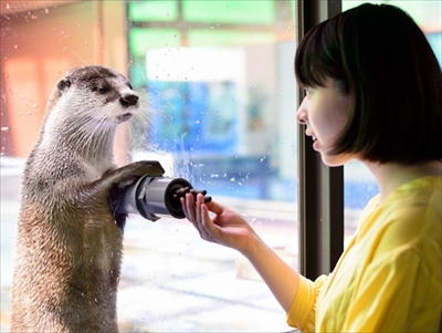 伊勢シーパラダイス　ゆるり君