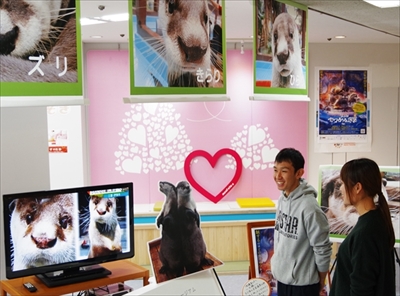 伊勢シーパラダイス　ゆるり君