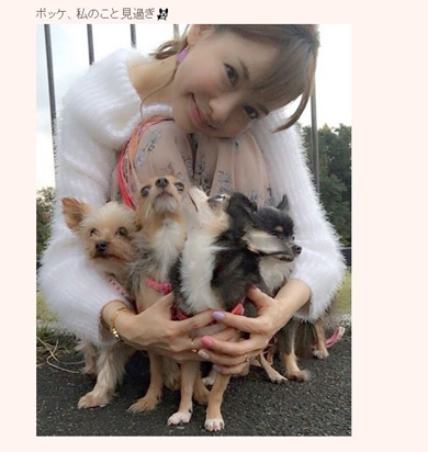 上原さくら 犬 痩せ過ぎ 大学 カウンセリング