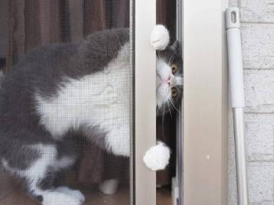 guremike 猫型ロボット