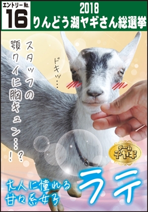 りんどう湖 ヤギさん総選挙