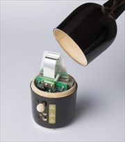 養命酒 テルミン