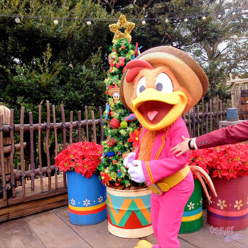 ディズニークリスマスデコレーション＆イルミネーション