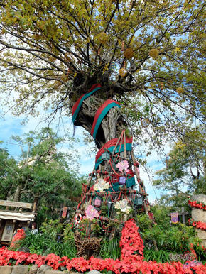 ディズニークリスマスデコレーション＆イルミネーション