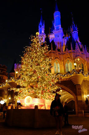 ディズニークリスマスデコレーション＆イルミネーション