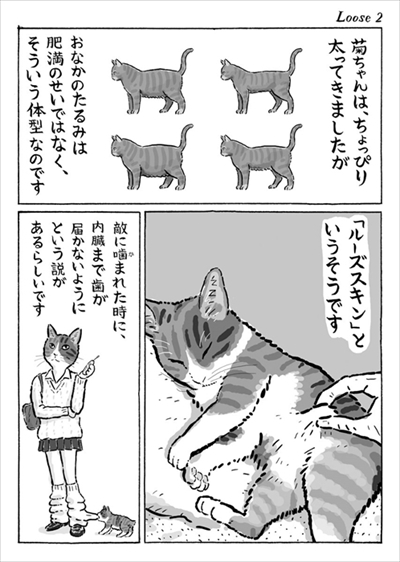 猫漫画　菊ちゃん