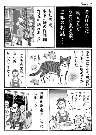 猫漫画　菊ちゃん