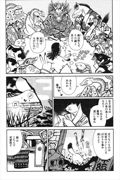 子だぬきの拾いもの