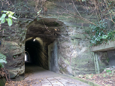 横須賀　トンネルカード　トンネル　平沼義之　隧道　めぐり　旅　観音崎　浜辺の隧道