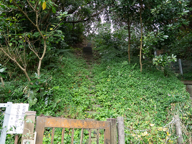 横須賀　トンネルカード　トンネル　平沼義之　隧道　めぐり　旅　千駄隧道