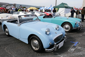 お台場 旧車 クラシックカー