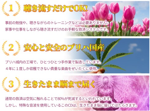 絶対女児革命 女児プリンセスハート 日本人の90は9割