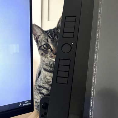 理想と違った 猫のいる仕事場 現実 椅子 あるある