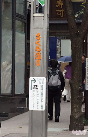 欅坂46 サイレントマジョリティー ロケ地 MV PV