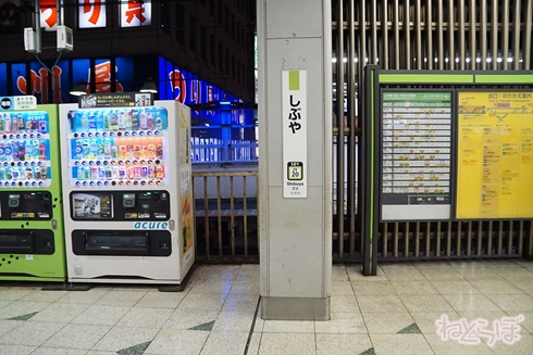 欅坂46 サイレントマジョリティー ロケ地 MV PV