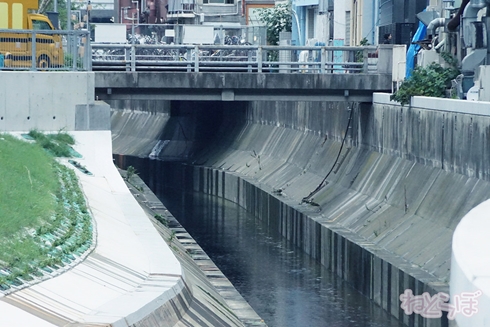 欅坂46 サイレントマジョリティー ロケ地 MV PV