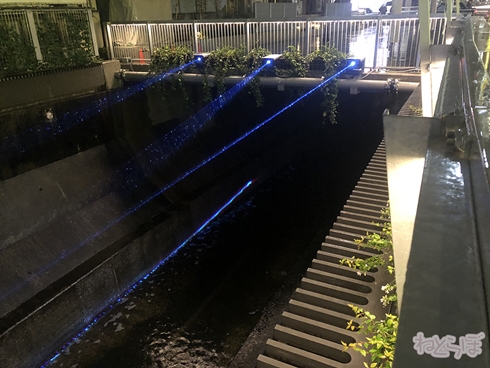 欅坂46 サイレントマジョリティー ロケ地 MV PV