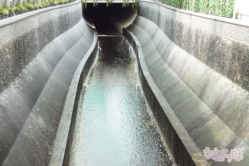 欅坂46 サイレントマジョリティー ロケ地 MV PV