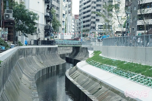 欅坂46 サイレントマジョリティー ロケ地 MV PV