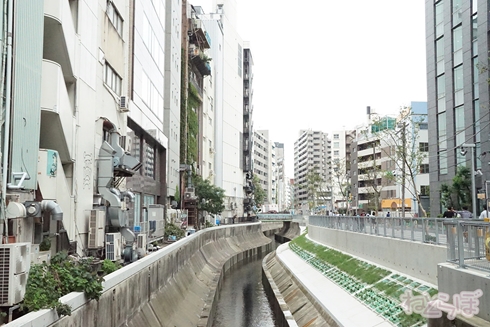 欅坂46 サイレントマジョリティー ロケ地 MV PV