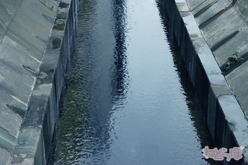 欅坂46 サイレントマジョリティー ロケ地 MV PV