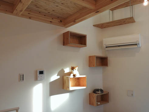 猫共生型RCマンション