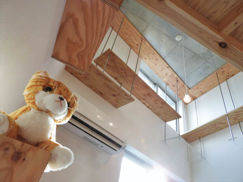 猫共生型RCマンション