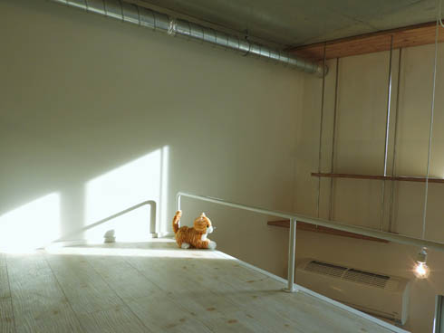 猫共生型RCマンション