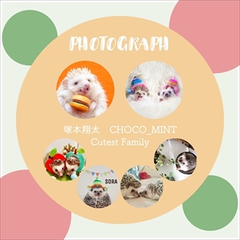 つんつんマルシェ