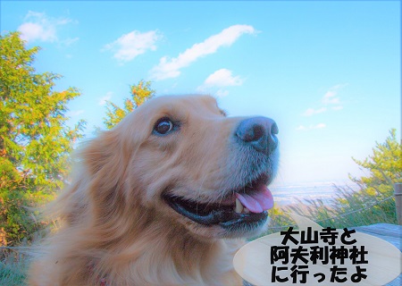 こー君　大山阿夫利神社