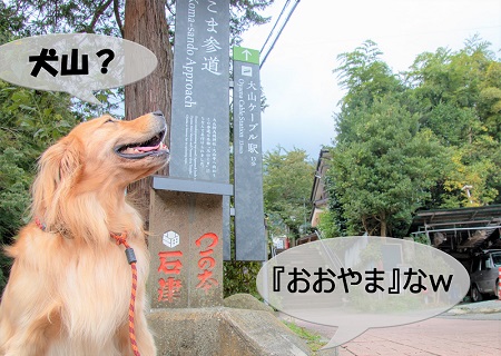 こー君　大山阿夫利神社