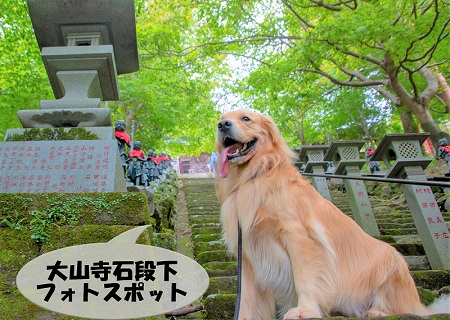 こー君　大山阿夫利神社