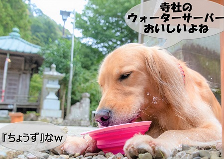 こー君　大山阿夫利神社