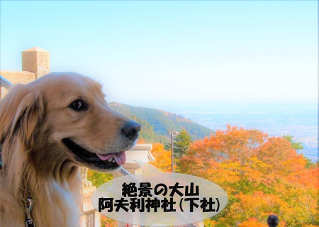 こー君　大山阿夫利神社