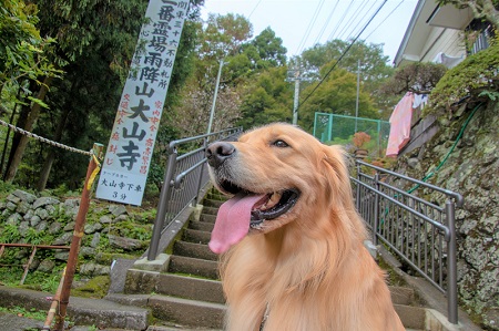 こー君　大山阿夫利神社