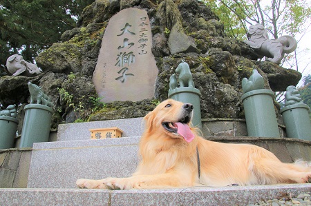 こー君　大山阿夫利神社