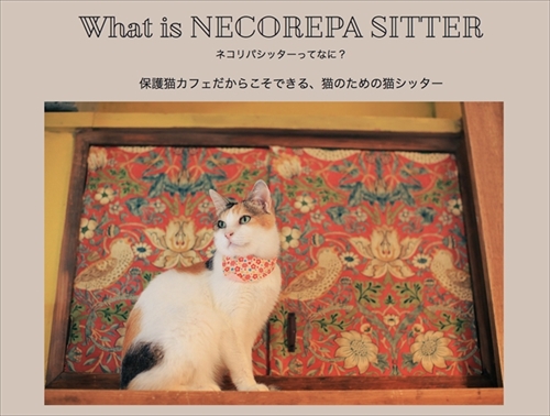 ネコリパシッター