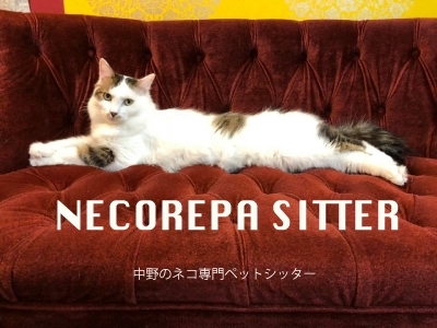 ネコリパシッター