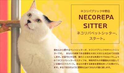 ネコリパシッター