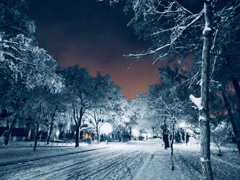 北海道大学 札幌キャンパス 雪景色 北大 幻想的
