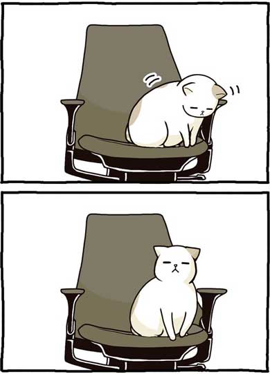 猫 漫画 たきりょうこ 膝に乗りたい 椅子 あるある