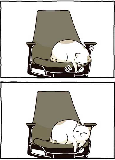 猫 漫画 たきりょうこ 膝に乗りたい 椅子 あるある
