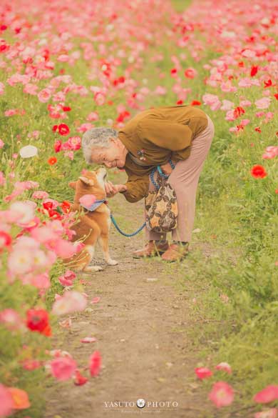 祖母グラフィー お婆ちゃん 撮影 写真