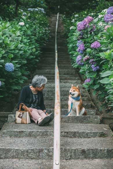 祖母グラフィー お婆ちゃん 撮影 写真