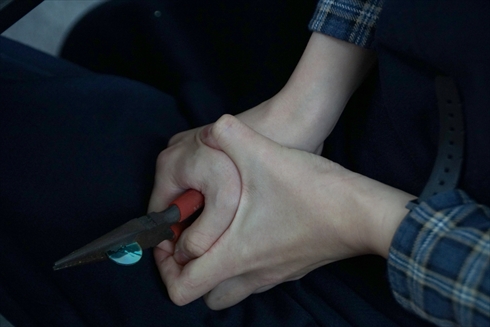 くるみ割り人形と秘密の王国