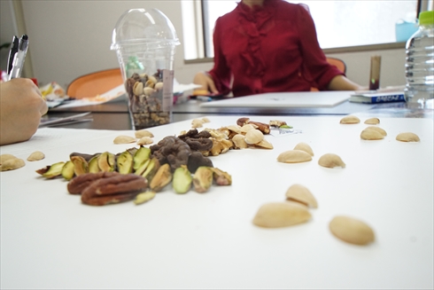 くるみ割り人形と秘密の王国