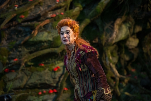 くるみ割り人形と秘密の王国