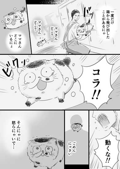 おじさまと猫 コミックス 2巻 ふくまる 漫画 桜井海